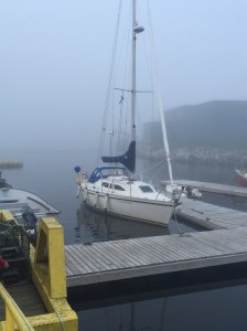 Here comes the Fog again 